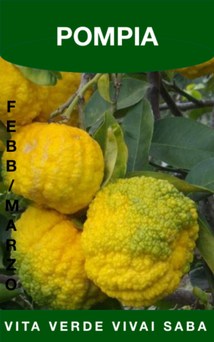 POMPIA