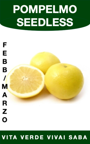 POMPELMO SEEDLESS