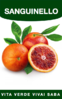 ARANCIO SANGUINELLO IN VASO