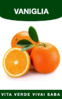 ARANCIO VANIGLIA IN VASO