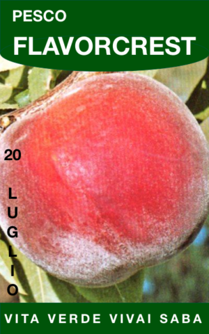 Pesco Flavor Crest